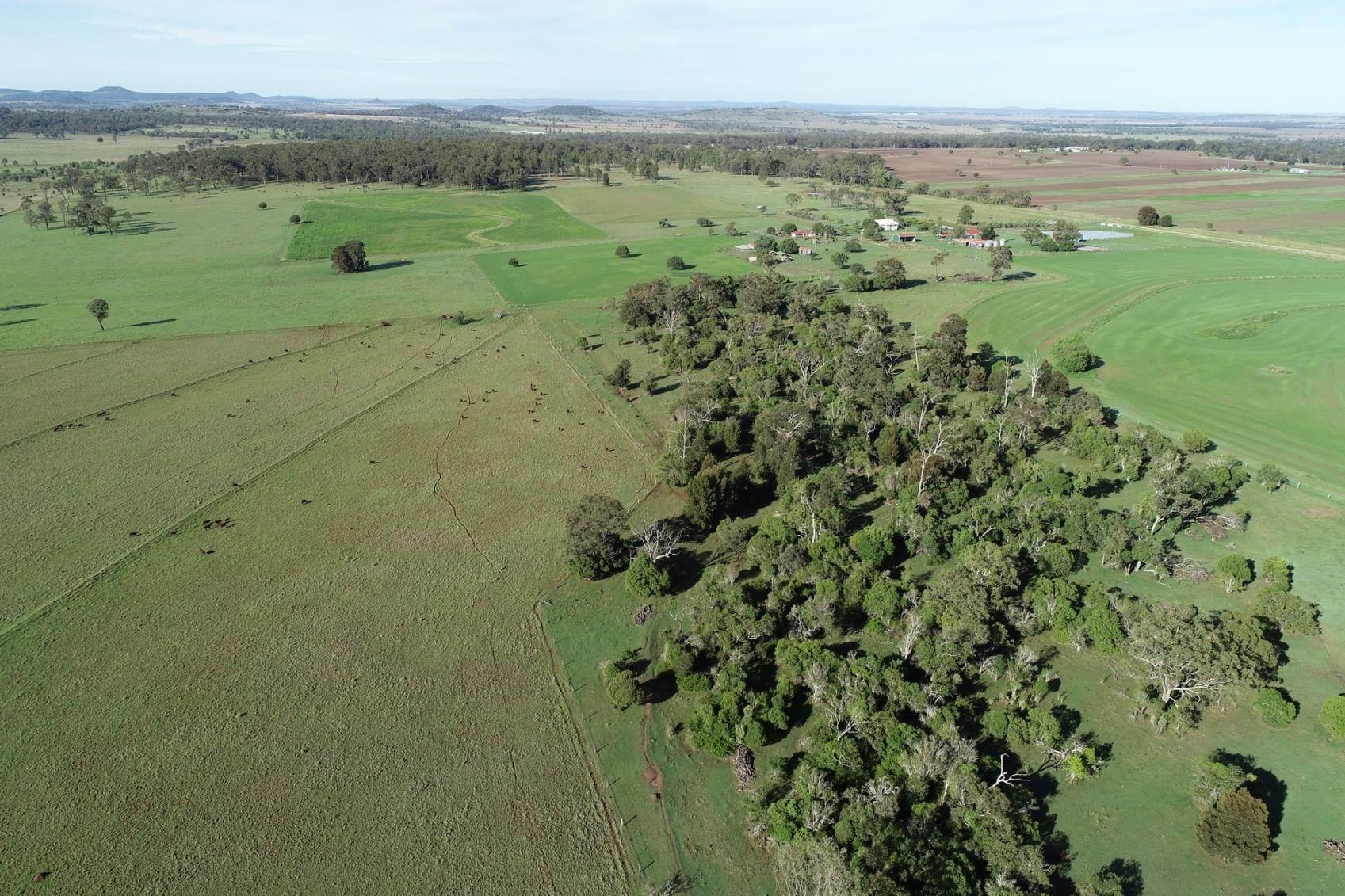 Cattle Stations For Sale QLD