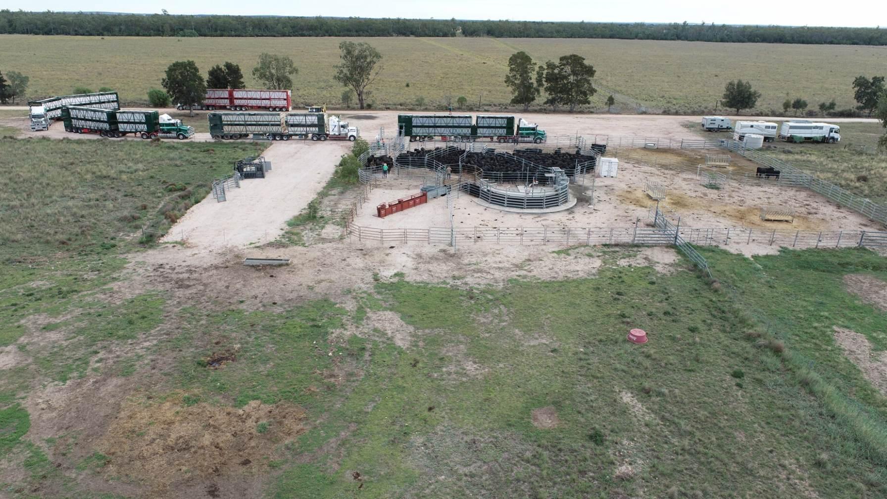 Cattle Stations For Sale QLD