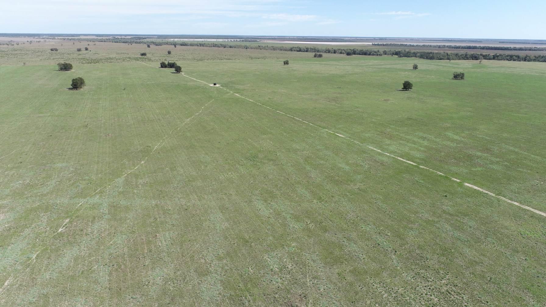 Cattle Stations For Sale QLD