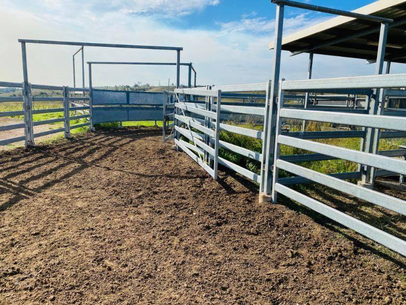 Cattle Stations For Sale QLD