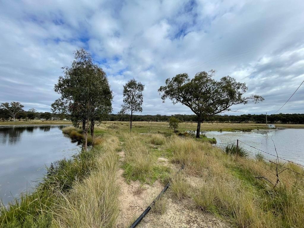 Cattle Stations For Sale QLD