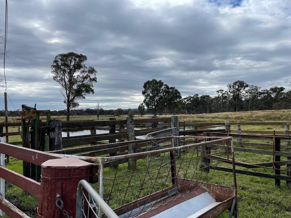 Cattle Stations For Sale QLD