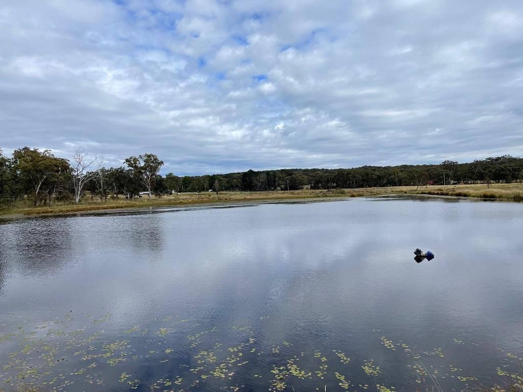 Cattle Stations For Sale QLD