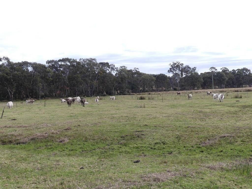 Cattle Stations For Sale QLD