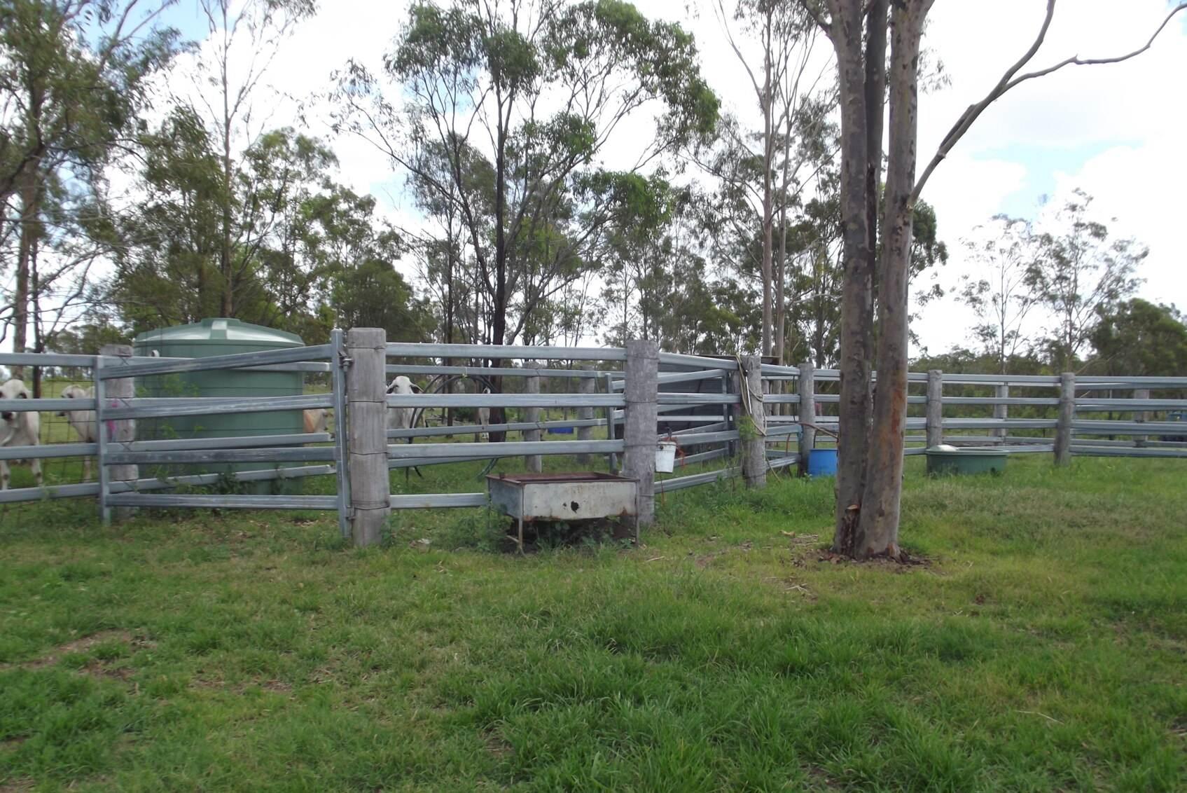 Cattle Stations For Sale QLD