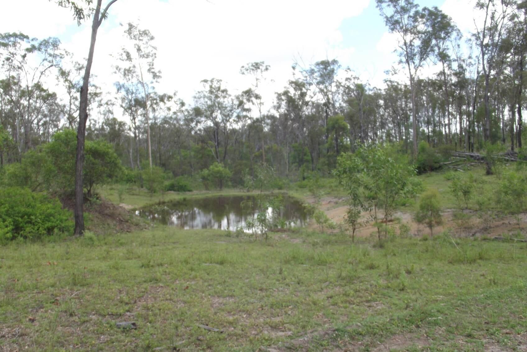 Cattle Stations For Sale QLD