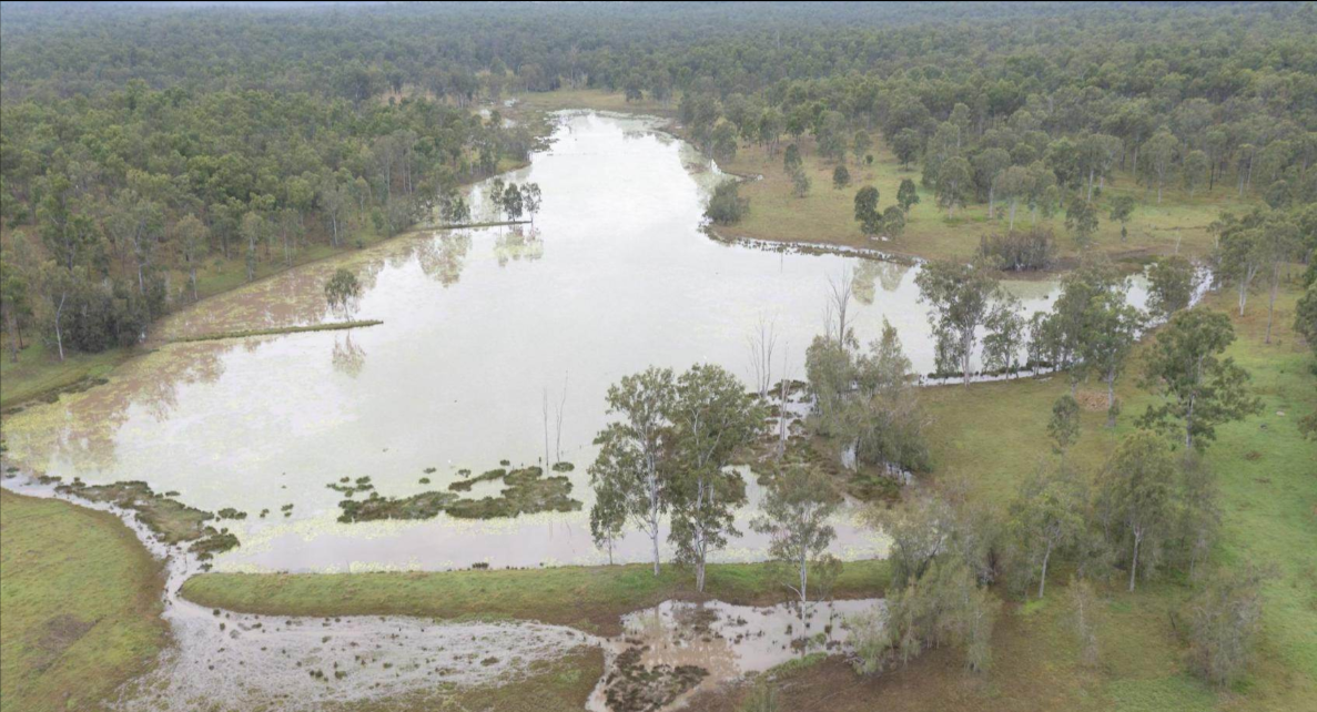 Cattle Stations For Sale QLD