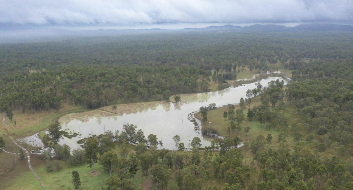 Cattle Stations For Sale QLD