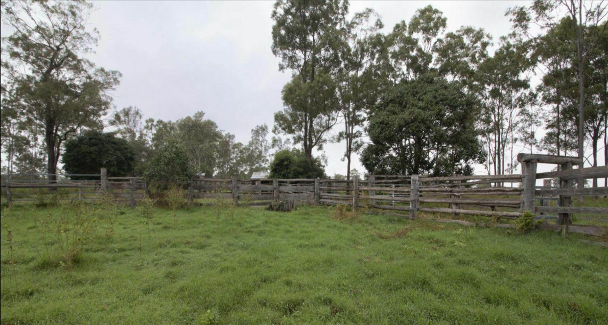 Cattle Stations For Sale QLD