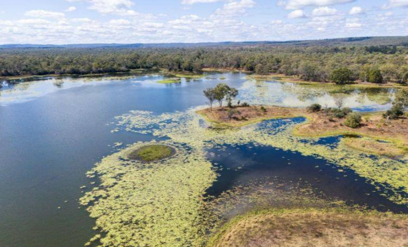 Cattle Property For Sale North QLD