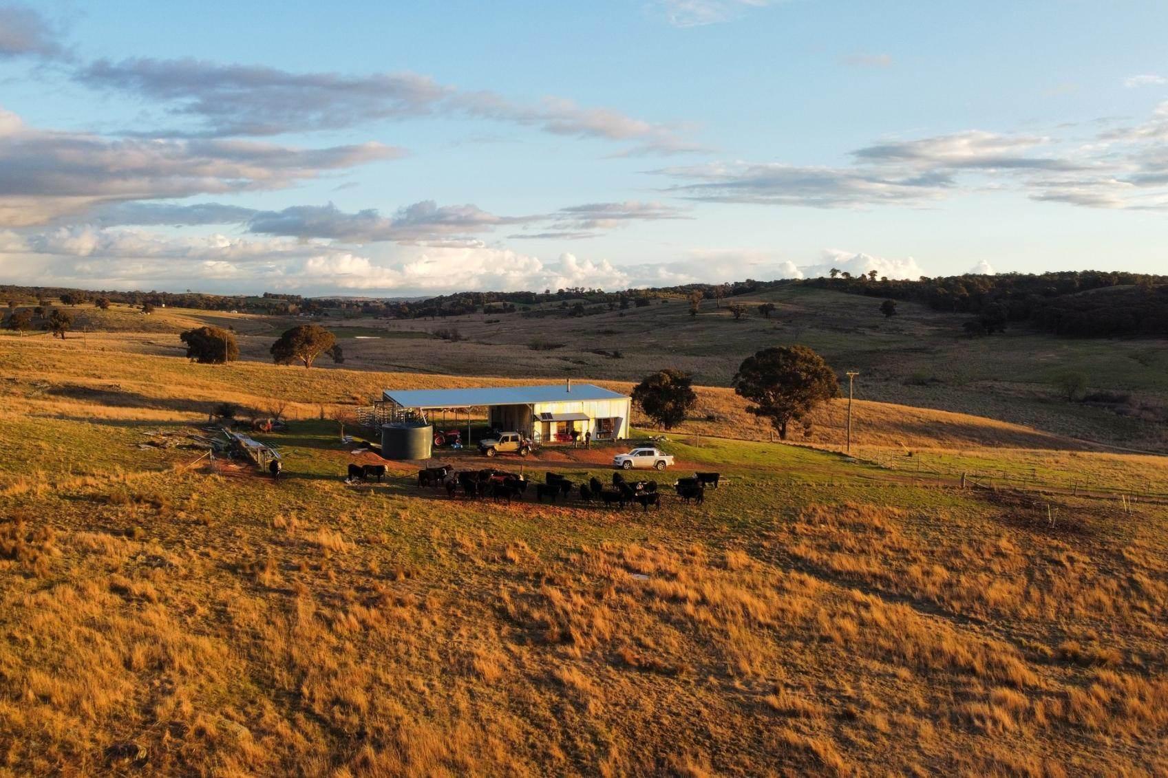 Five Of The Cheapest Farms For Sale NSW