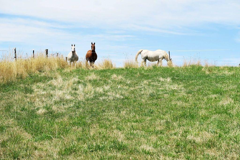 Cheapest Farms For Sale TAS