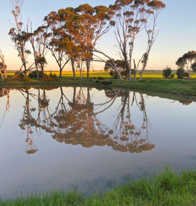 Cheapest Places To Buy A Farm Western Australia