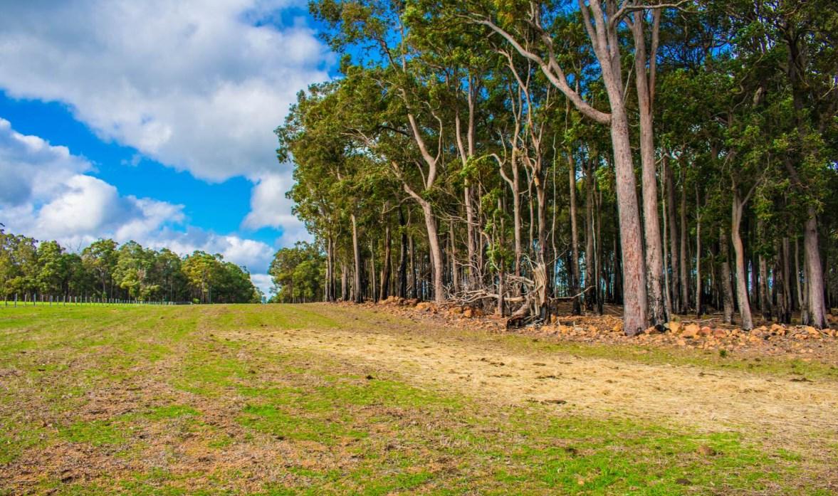 Cheapest Places To Buy A Farm Western Australia