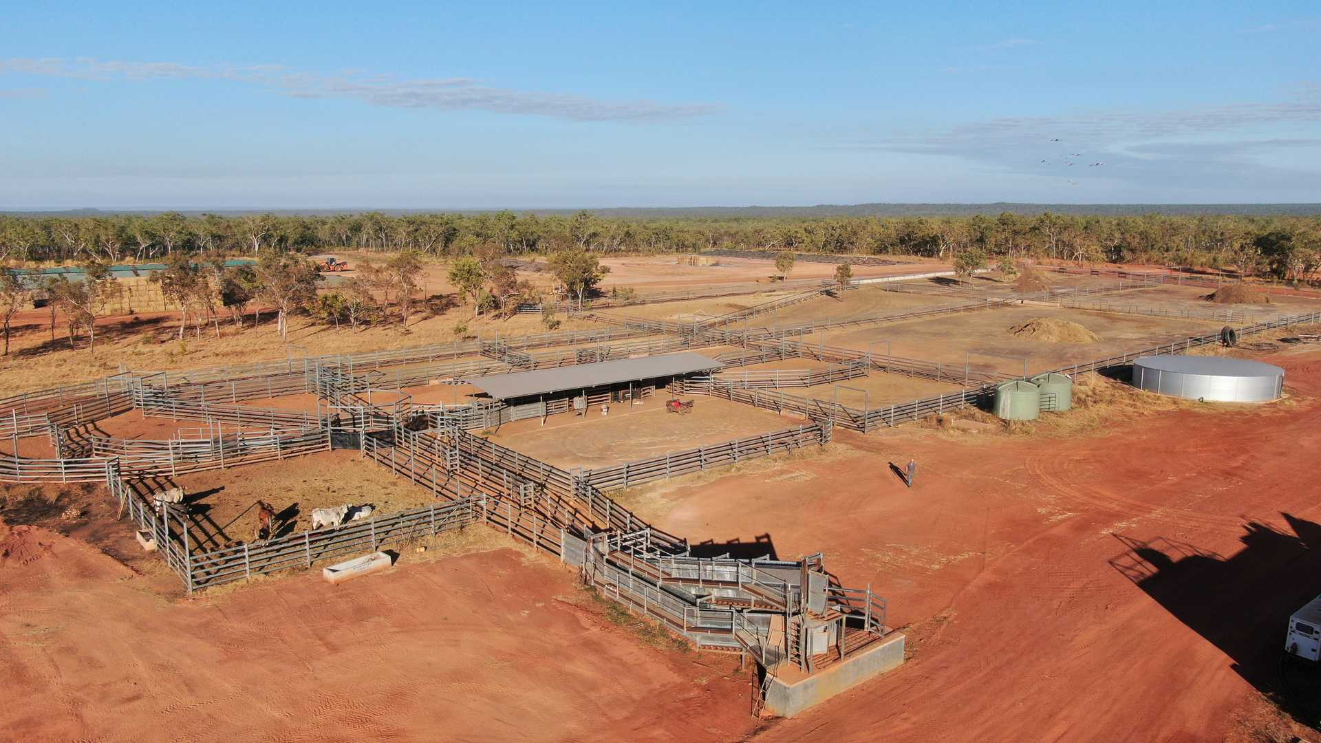 Mixed Farm For Sale NT