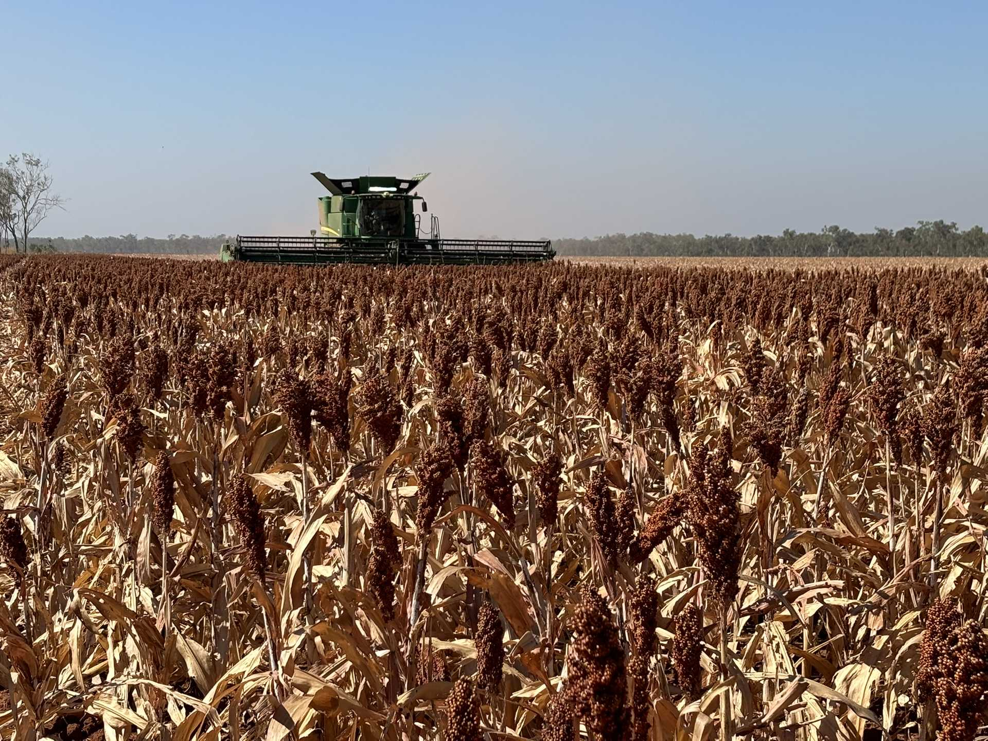 Mixed Farm For Sale NT