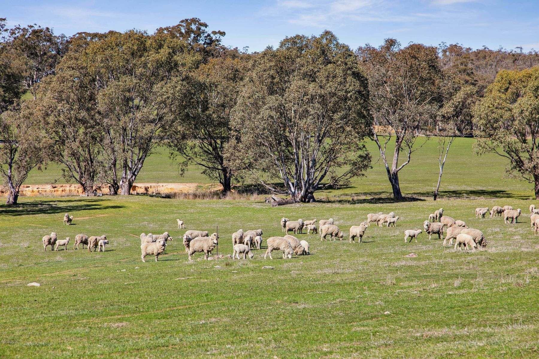 rural property for sale VIC