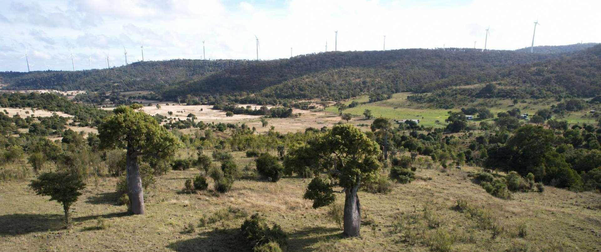 QLD cattle property for sale