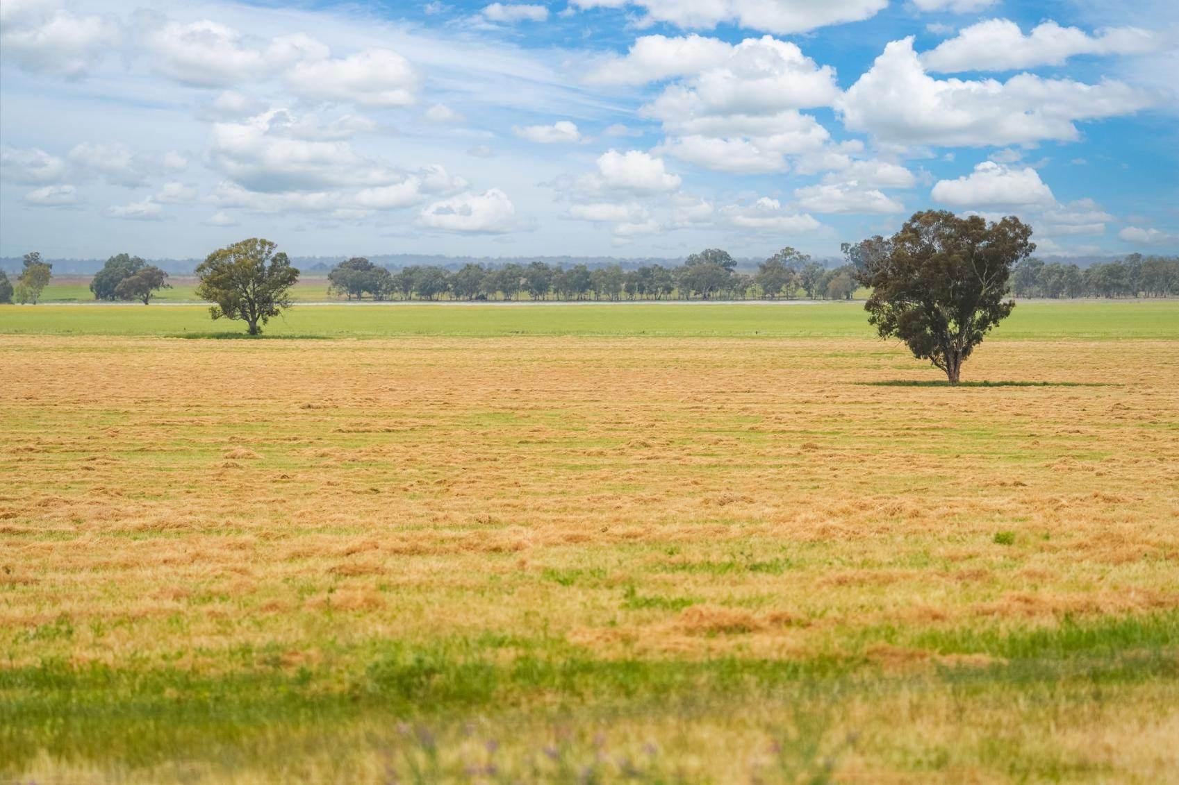 Properties For Sale Riverina NSW