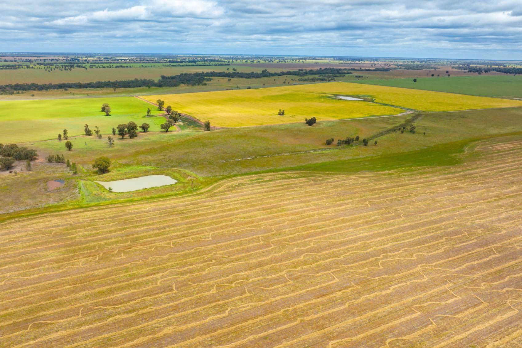 Properties For Sale Riverina NSW