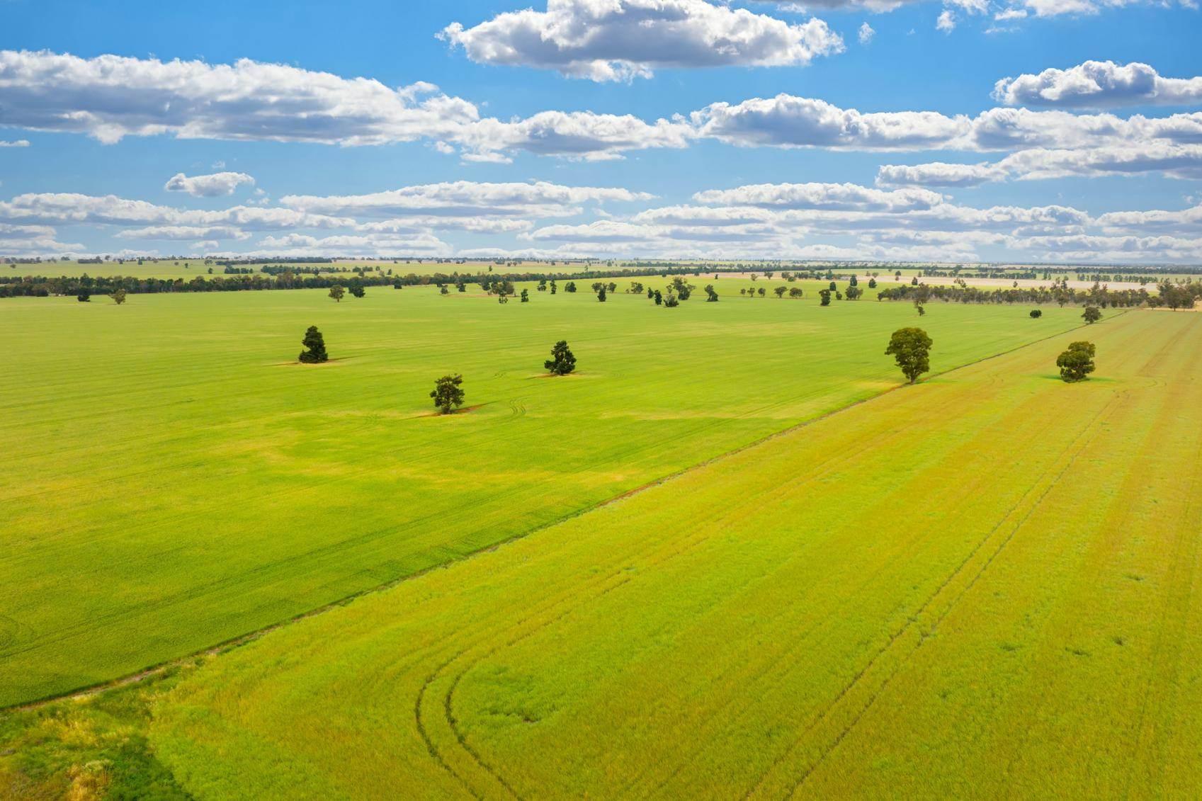 Properties For Sale Riverina NSW