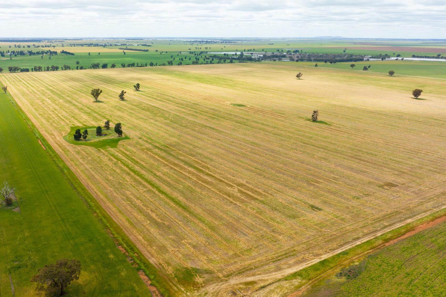 Properties For Sale Riverina NSW