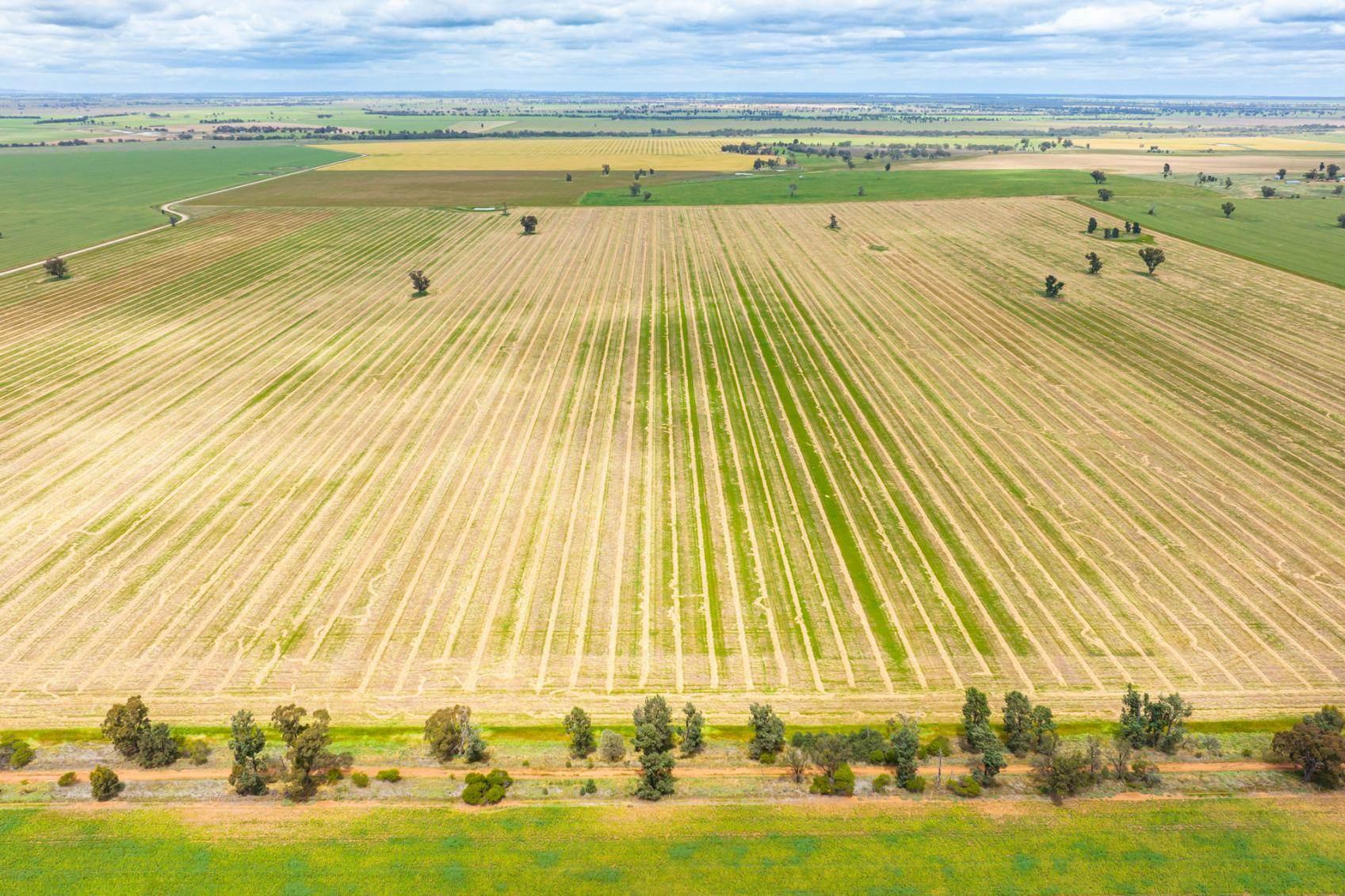 Properties For Sale Riverina NSW