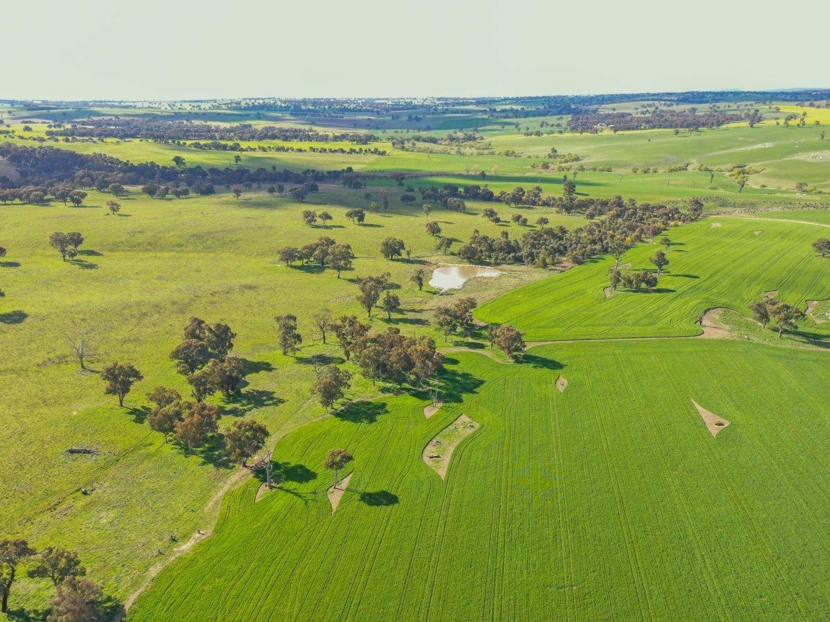 Rural Property For Sale Australia