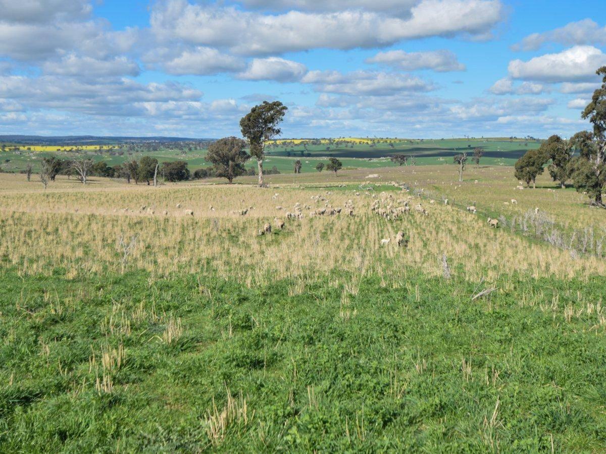 Rural Property For Sale Australia