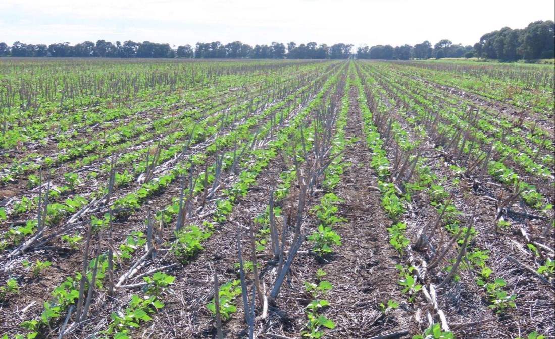rural property for sale QLD