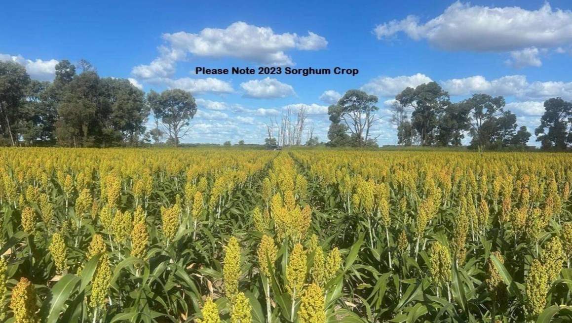 rural property for sale QLD