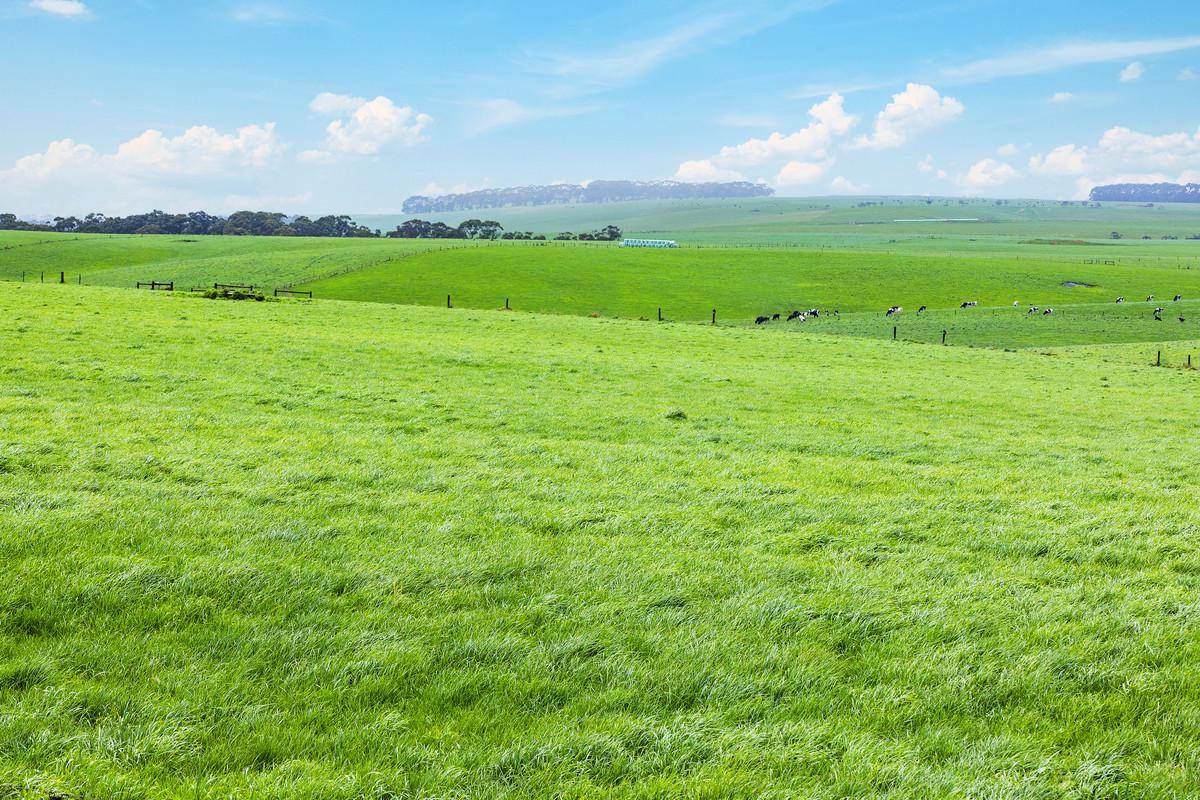 Dairy Farms For Sale VIC