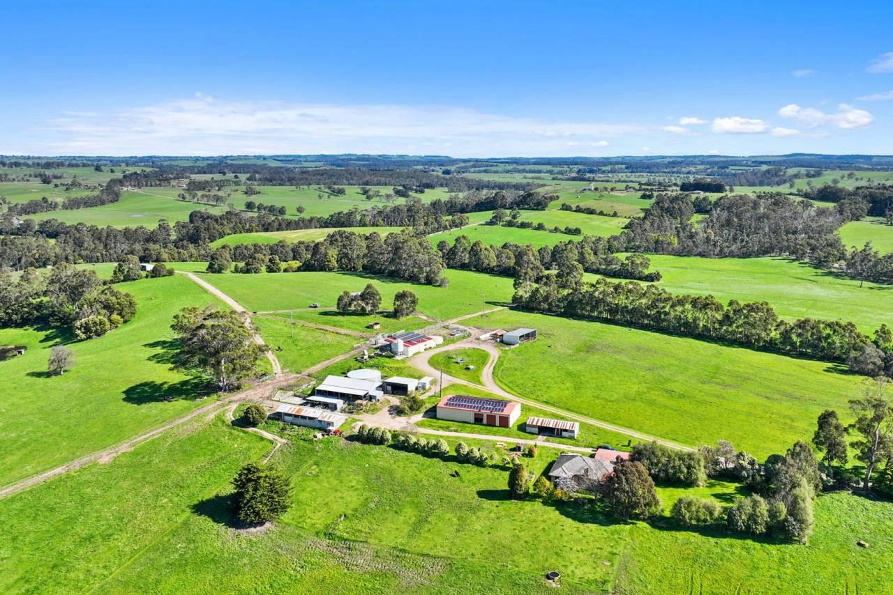 Dairy Farms For Sale VIC