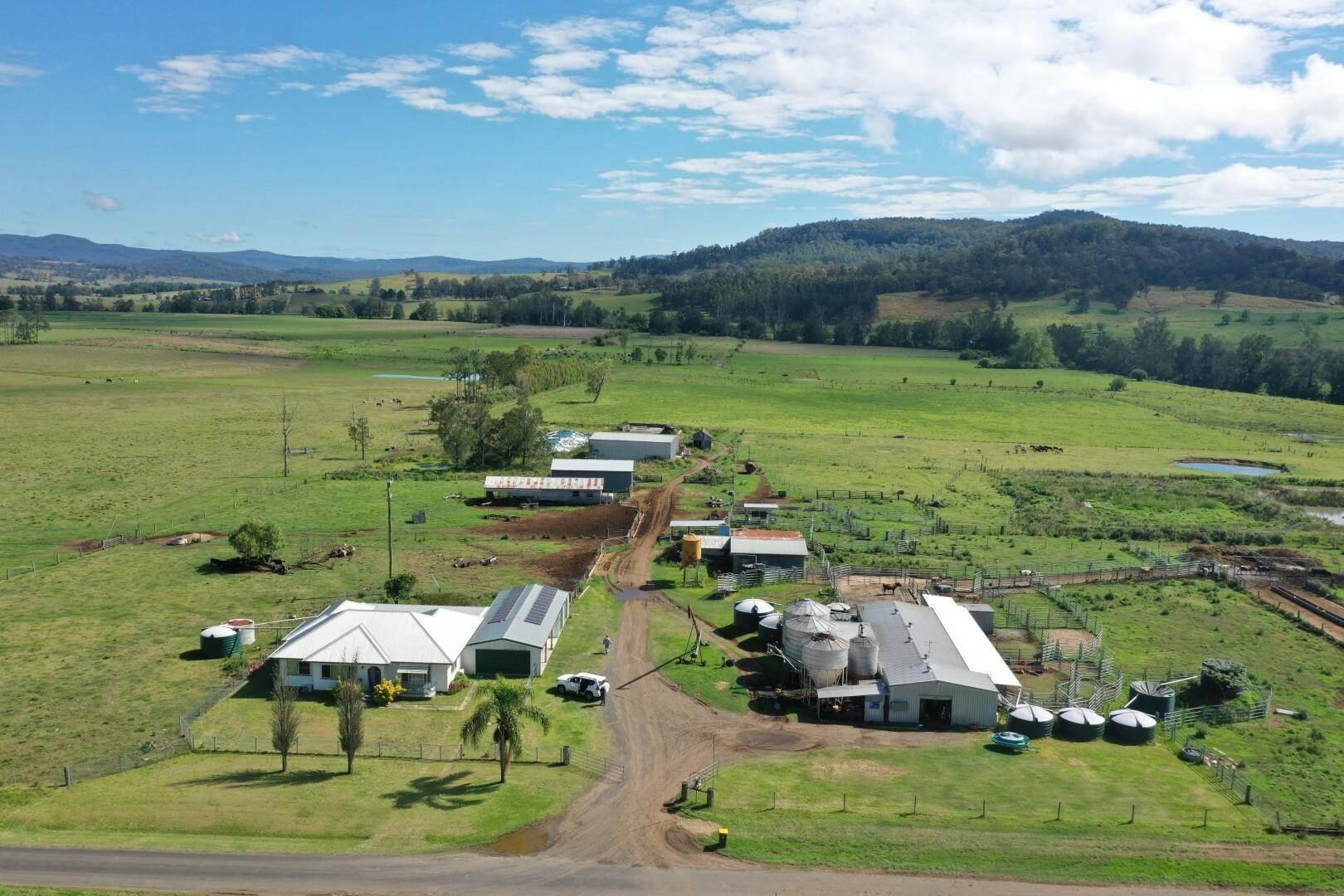 Dairy Farms For Sale: 119 Duck Creek Road, Old Bonalbo, NSW