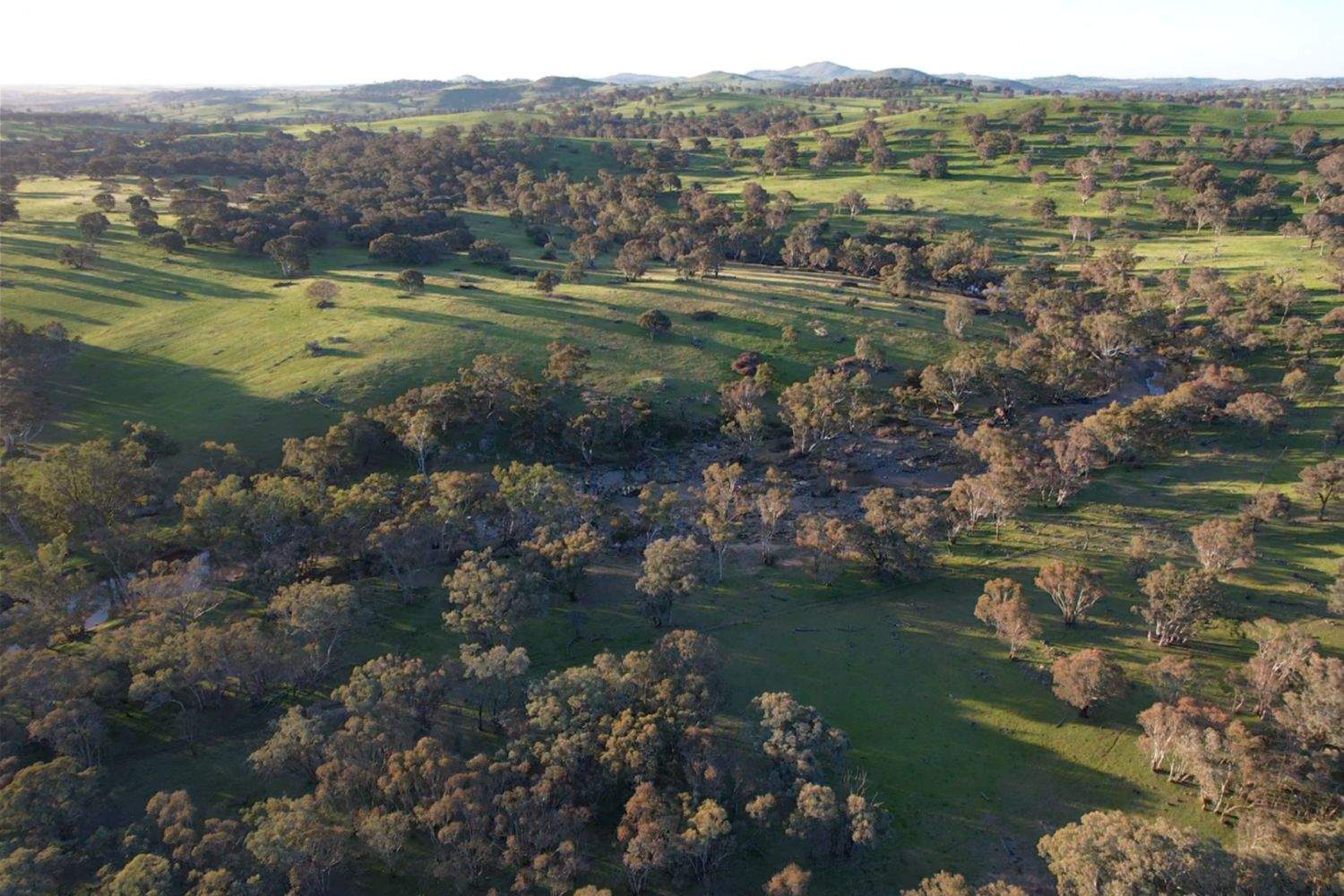 rural property for sale NSW