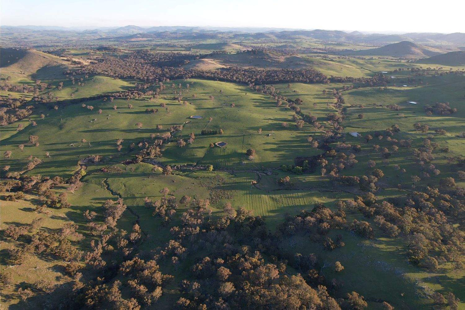 rural property for sale NSW