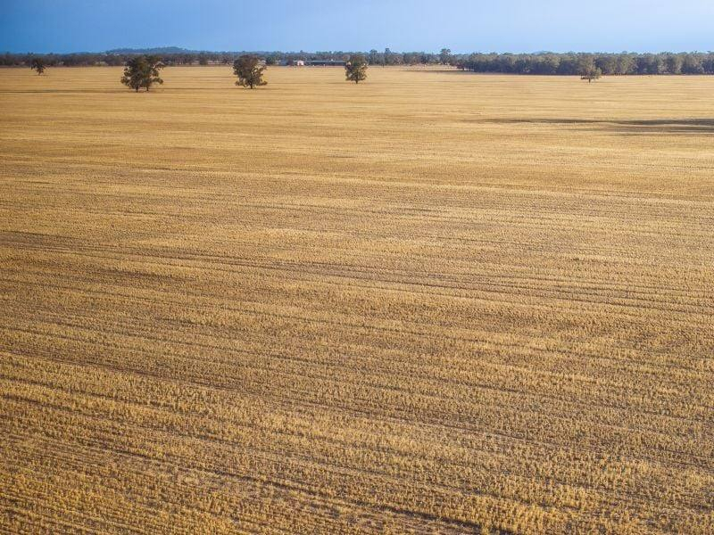 farm for sale NSW