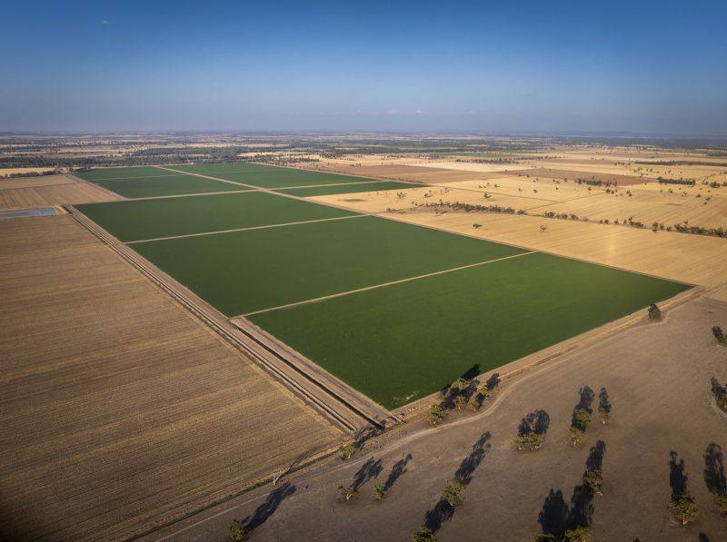 farm for sale NSW