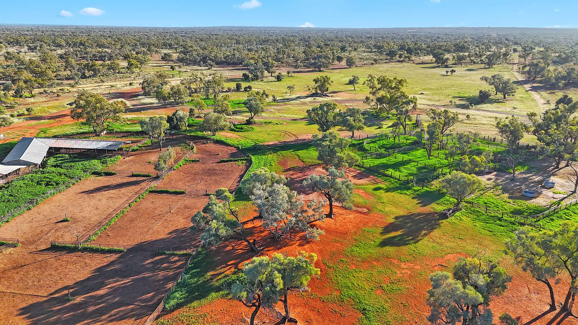 Sheep And Cattle Property For Sale QLD