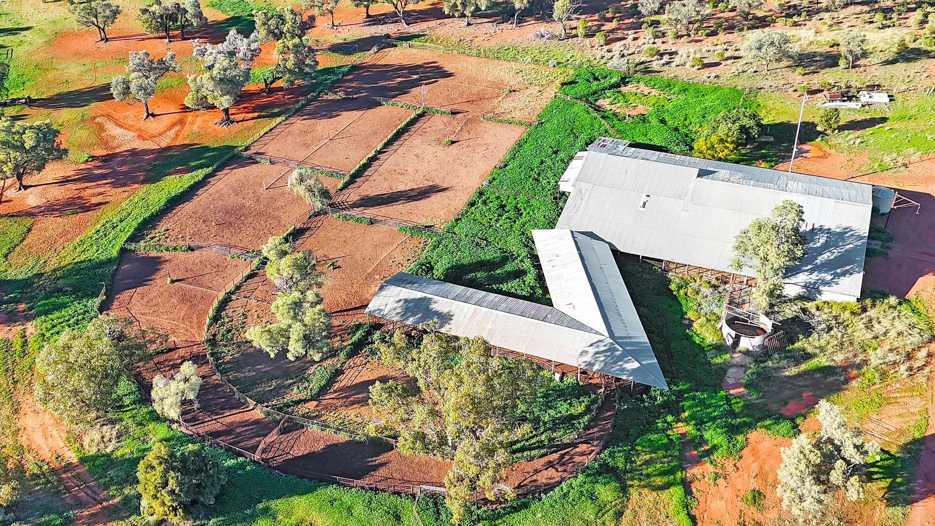 Sheep And Cattle Property For Sale QLD