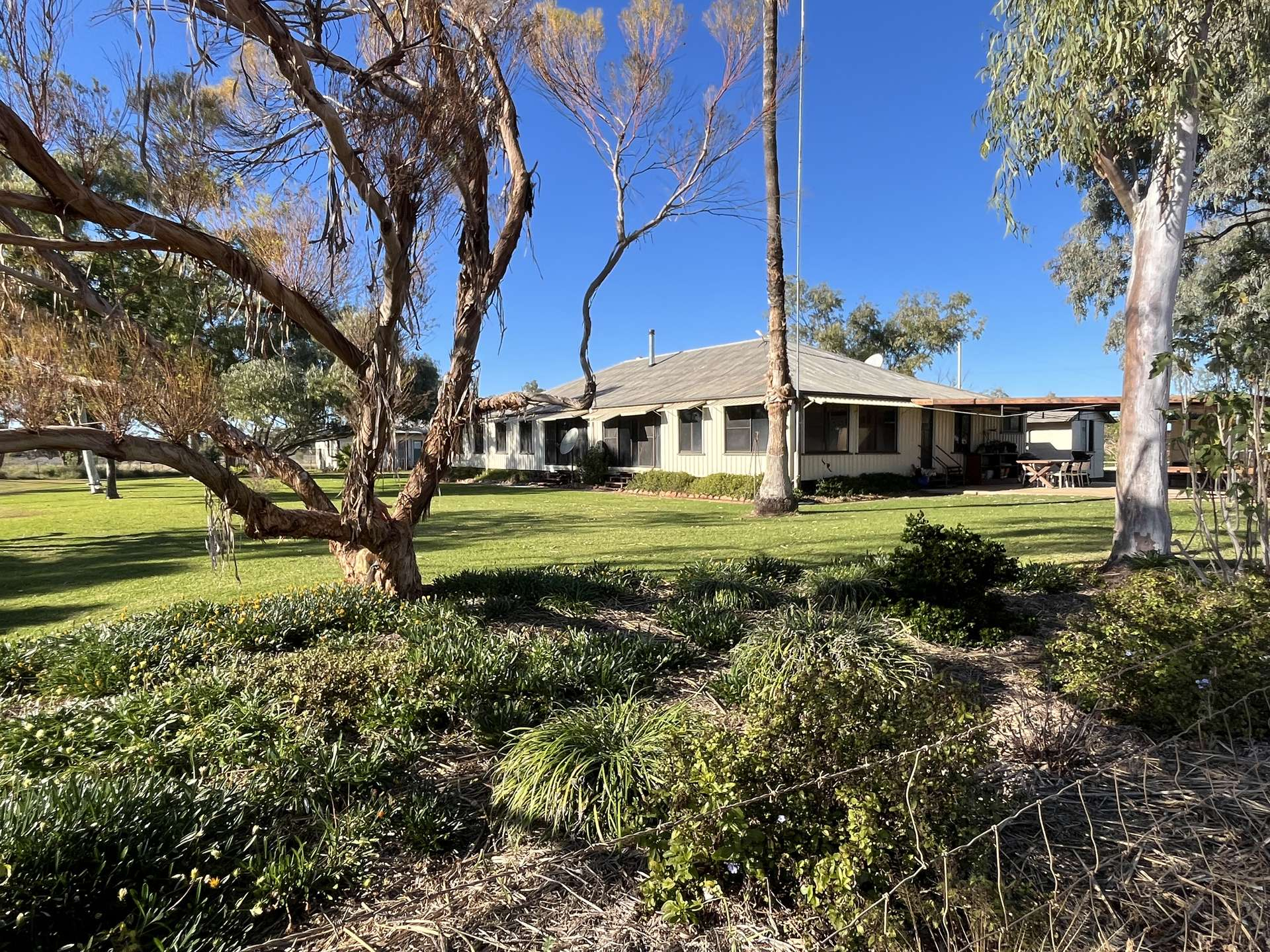 sheep and cattle proeprty for sale QLD