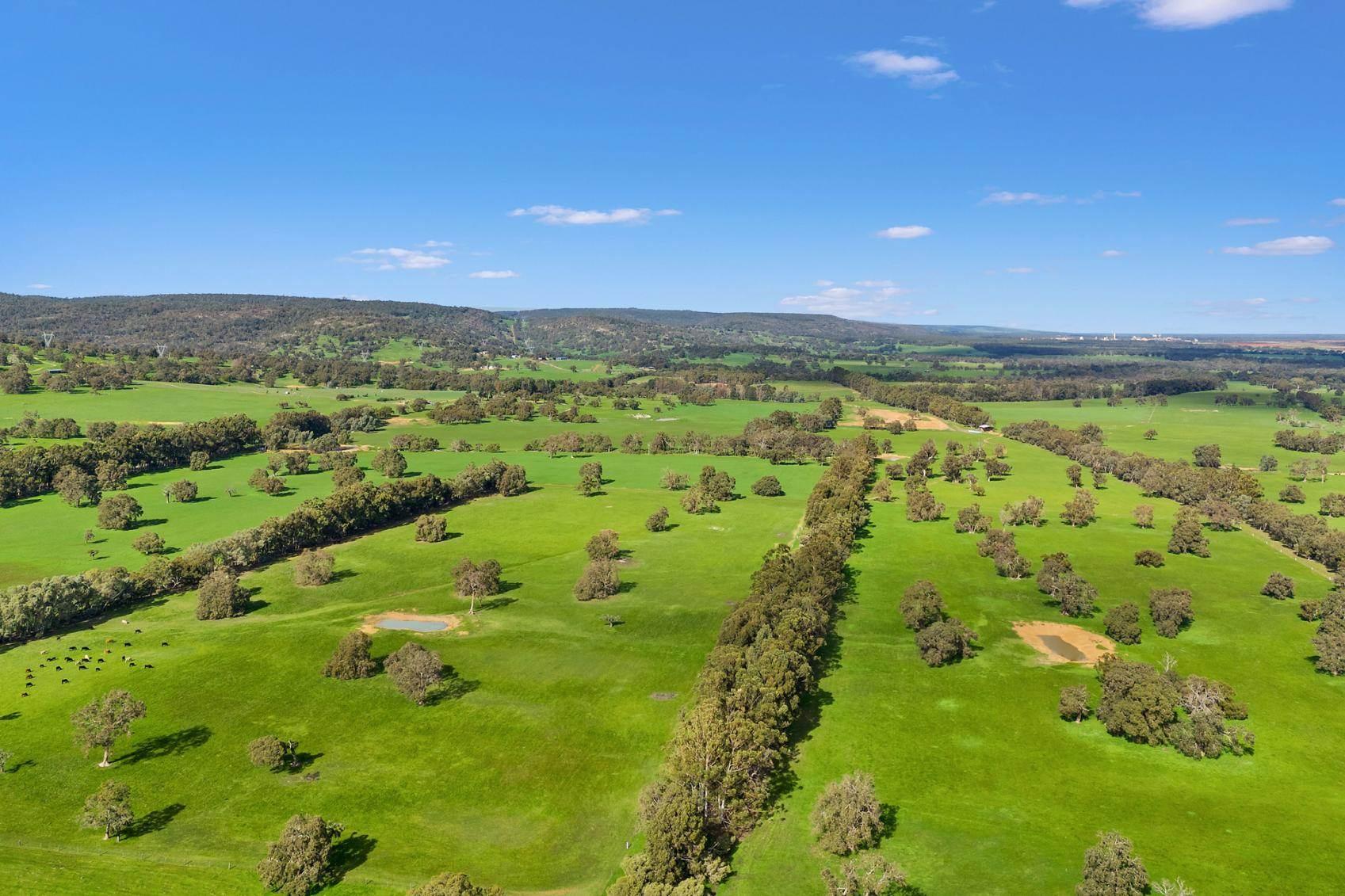 farm for sale WA