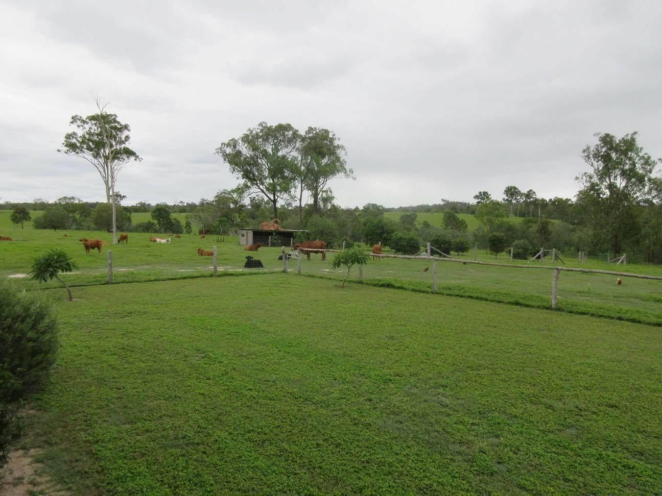 How Much Does Grazing Land Cost Per Acre: Farmbuy.com Buyers' Guide