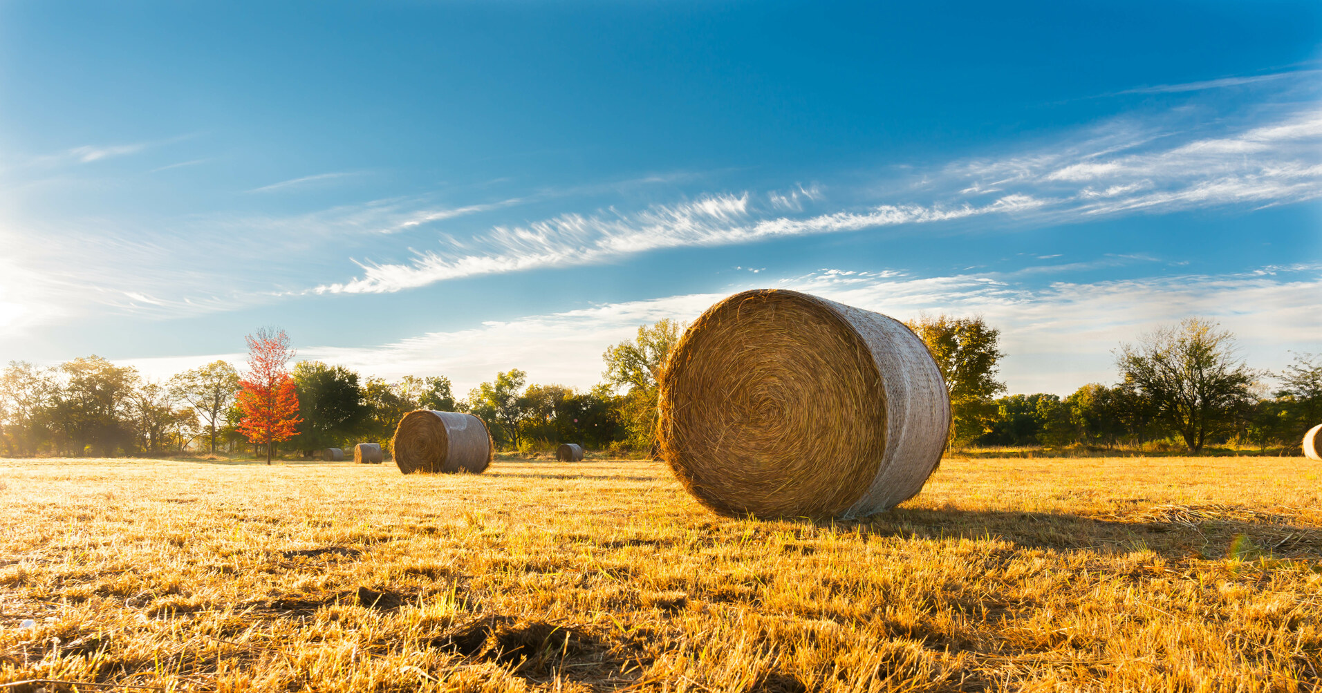 How much does 1 acre of rural land cost: Farmbuy.com Buyers' Guide