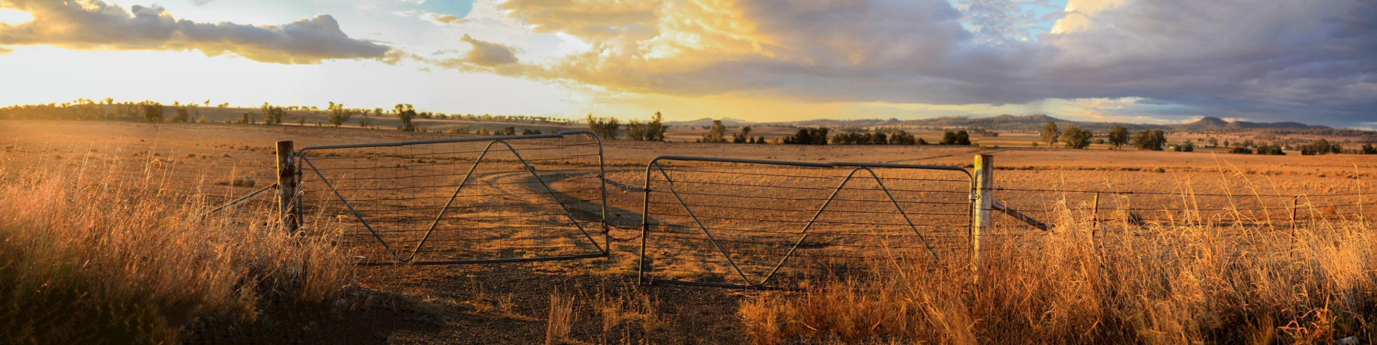 Cheapest Farm Land For Sale in NSW 