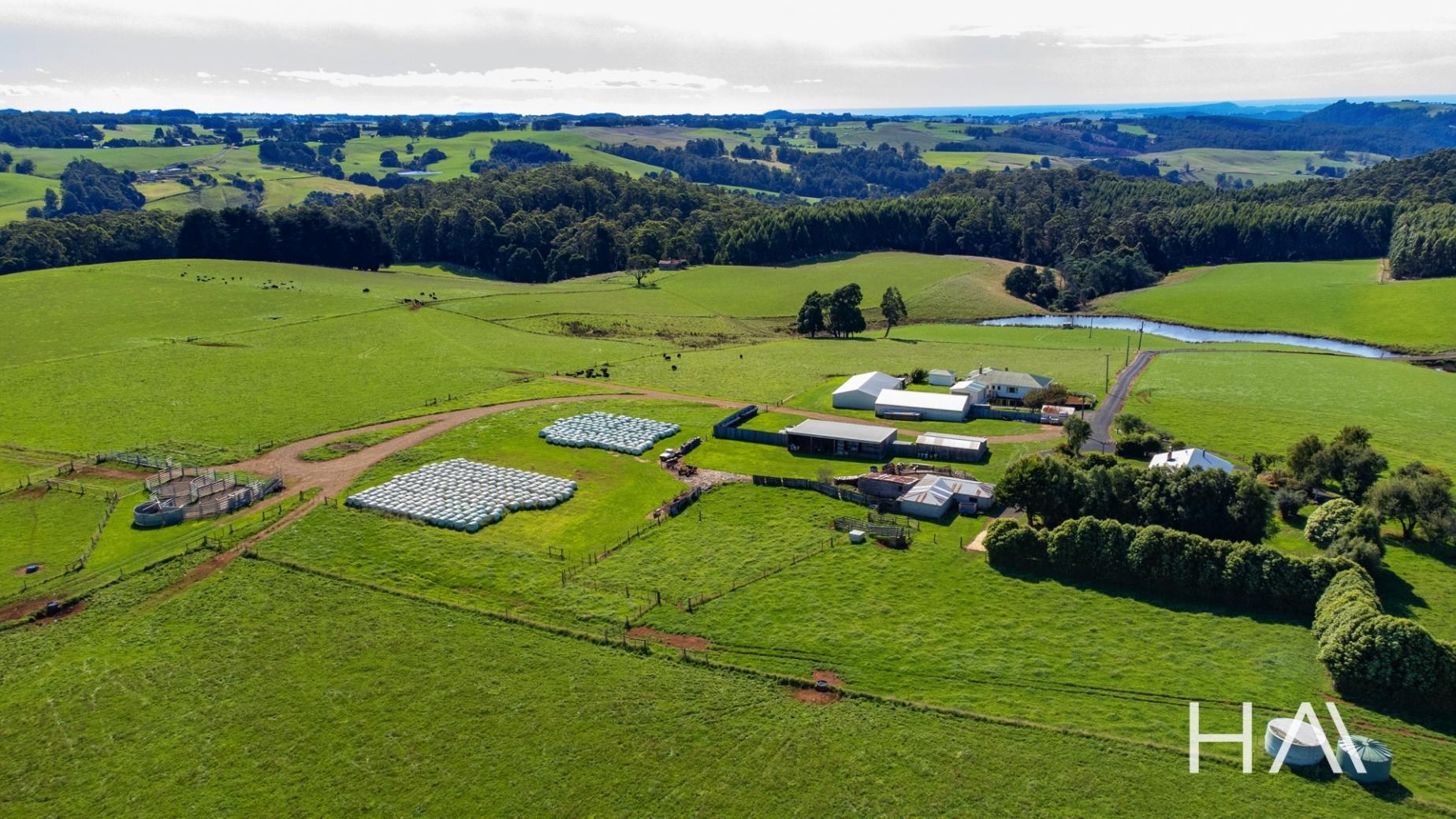Farm For Sale Tasmania