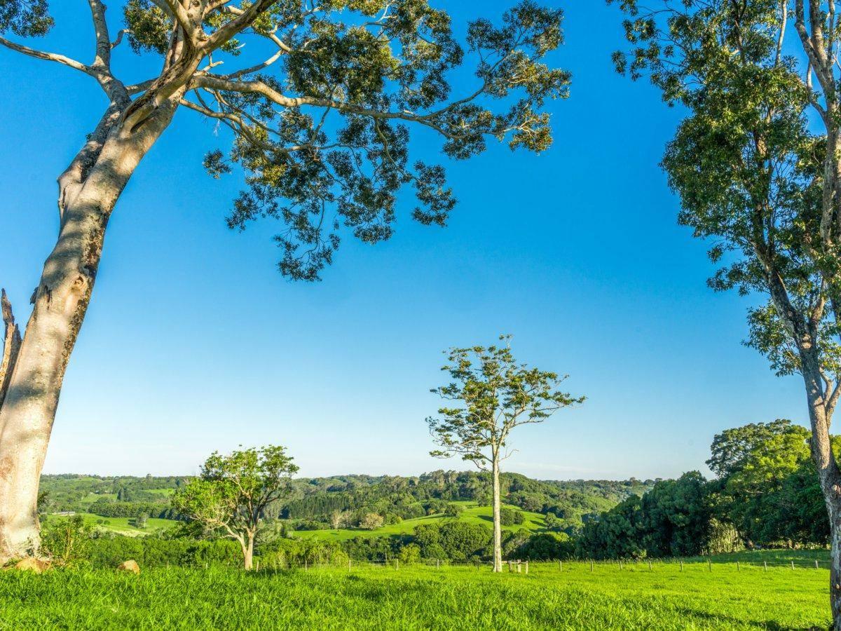 Country Farm House For Sale Byron Bay Hinterland