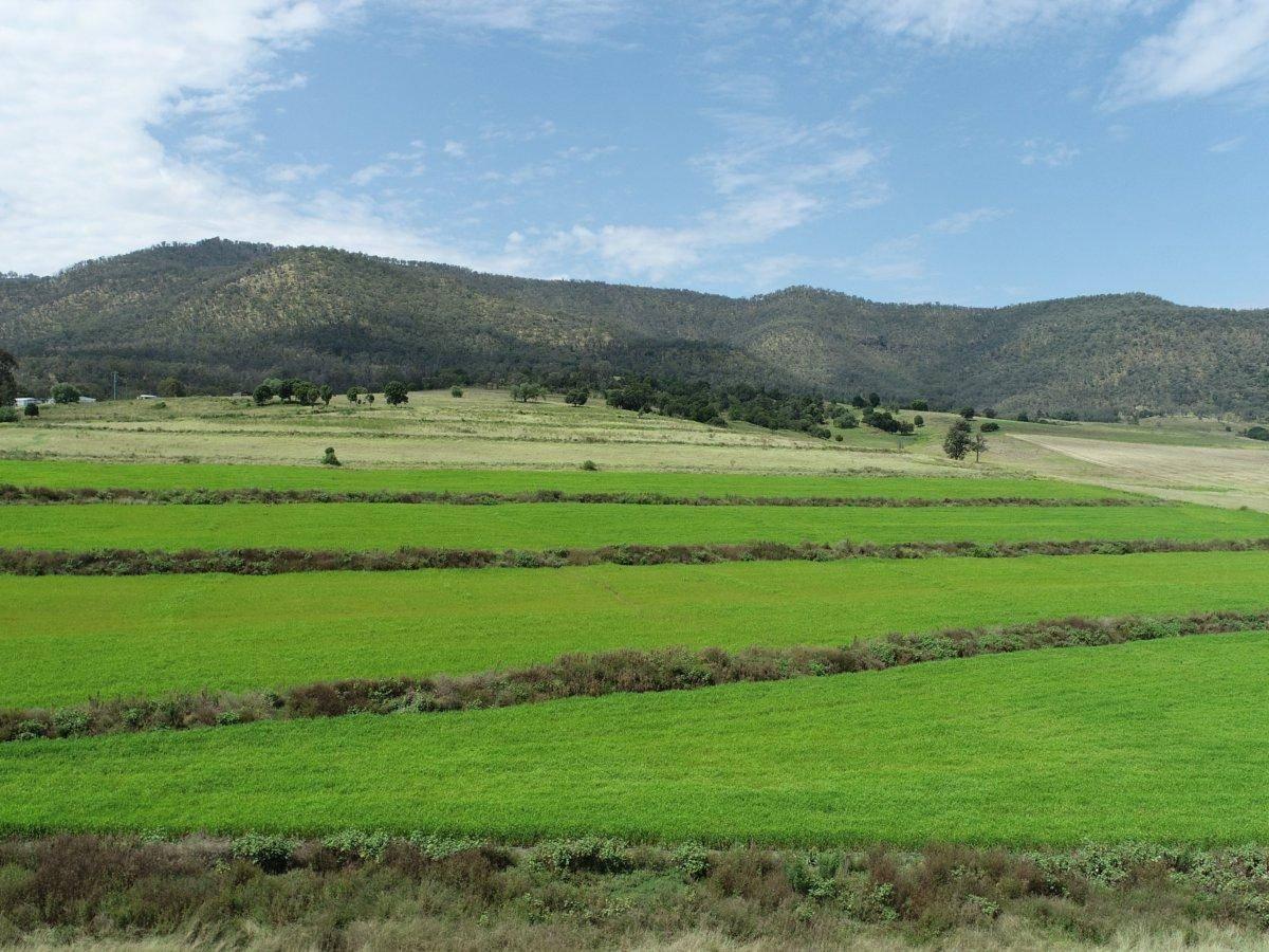 Farms For Sale Darling Downs QLD