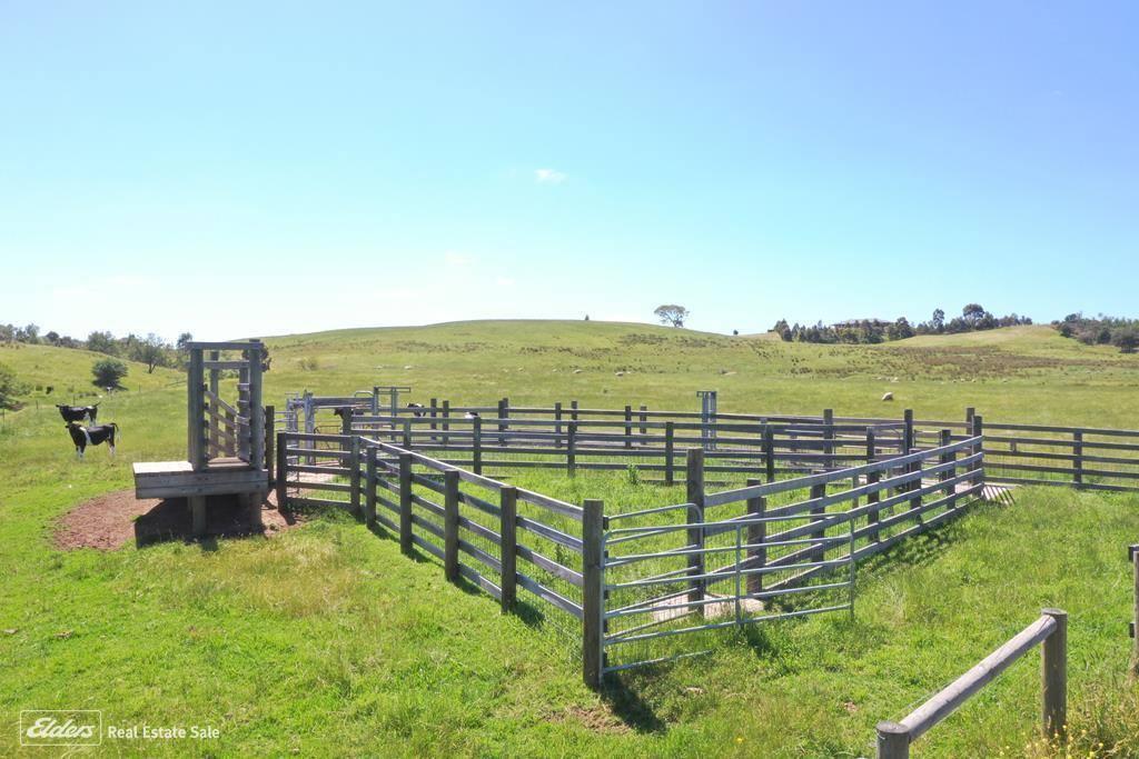 Farms For Sale Gippsland