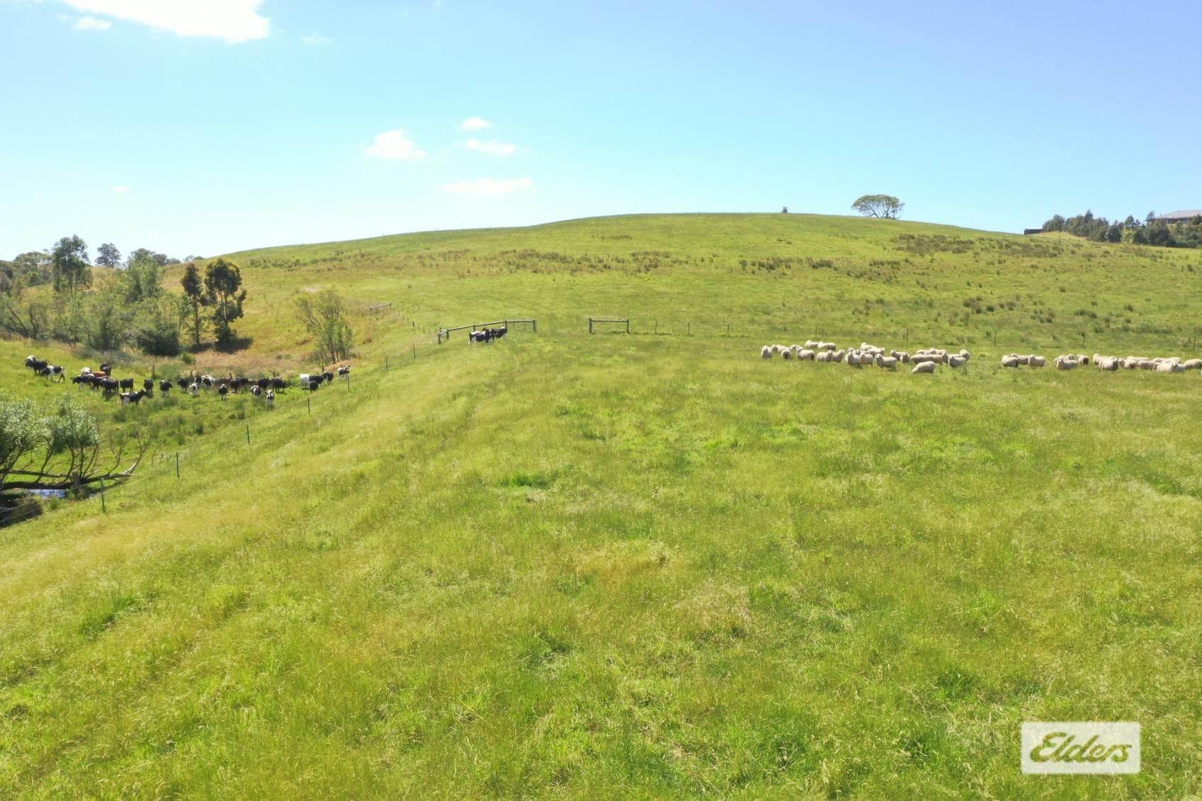 Farms For Sale Gippsland